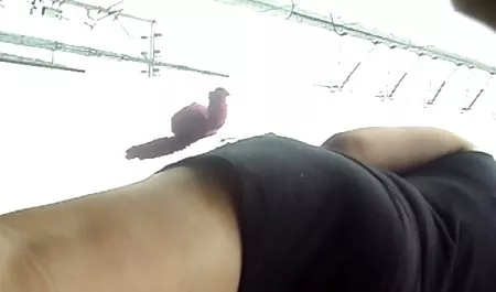 Sein Schwanz ist weder eine Gurke noch deutsche private amateur pornos eine Banane