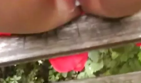 Die Lesben Riley Steele und Katrina sexfilme privat Jade haben Spaß auf der Ranch