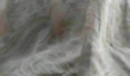 Nasse Huren lutschen und ficken auf einer sexfilme privat Party