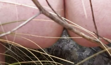 Sperma mit Maiskugeln ist deutsche amature pornos der Schlüssel zur Gesundheit